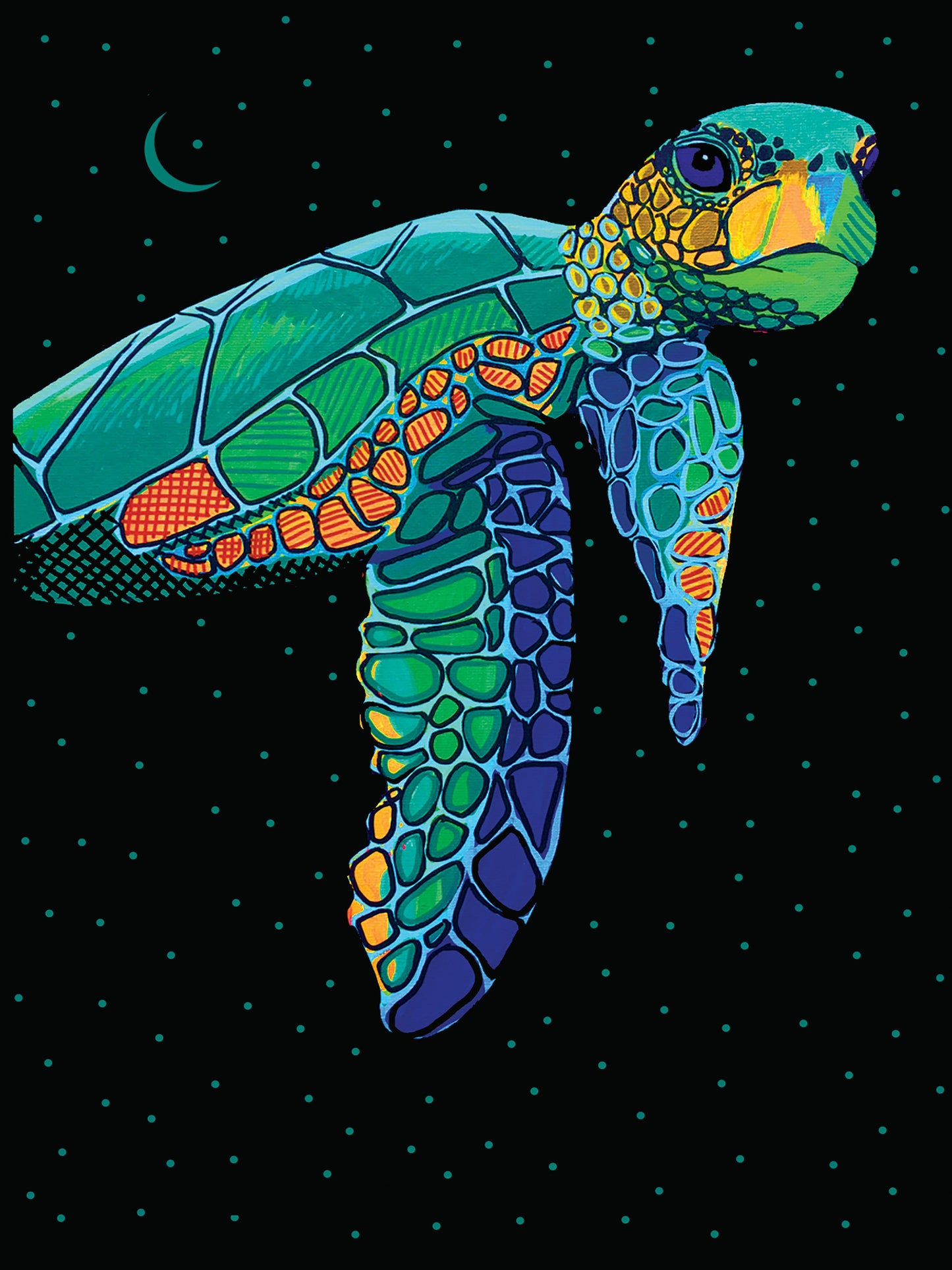 Green Sea Turtle - Fine Art Print