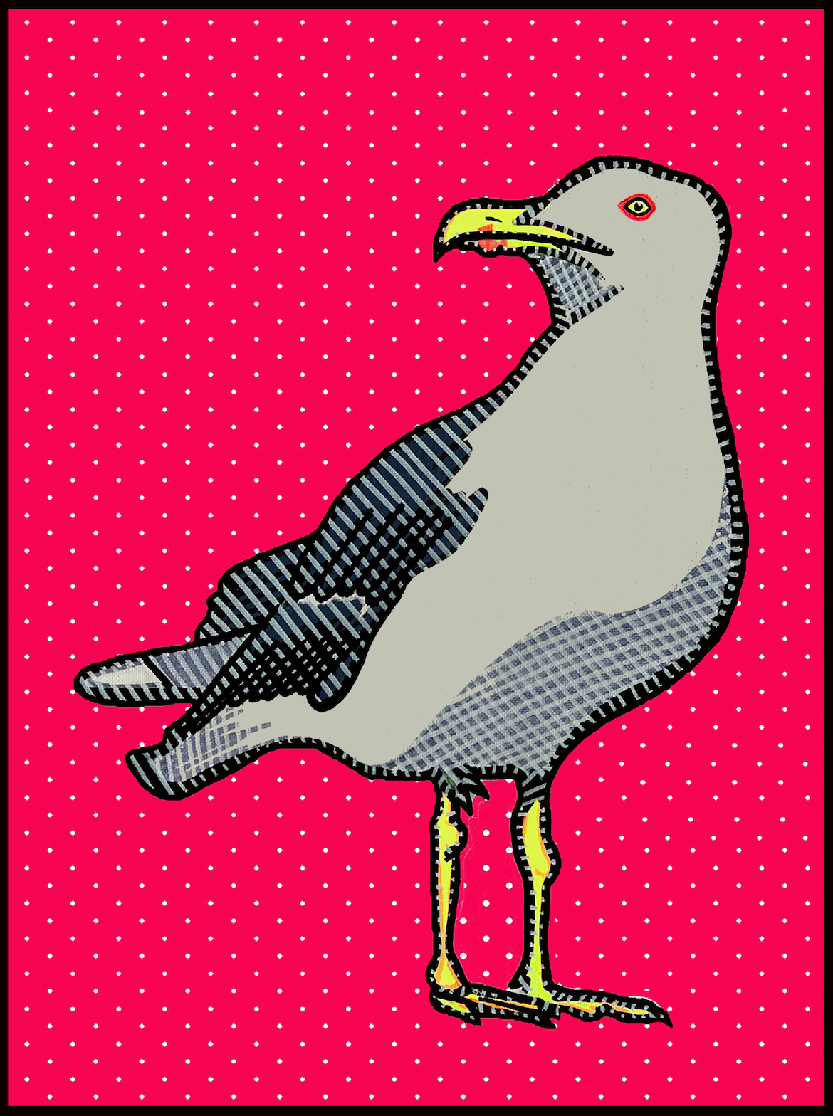 Seagull - Fine Art Print