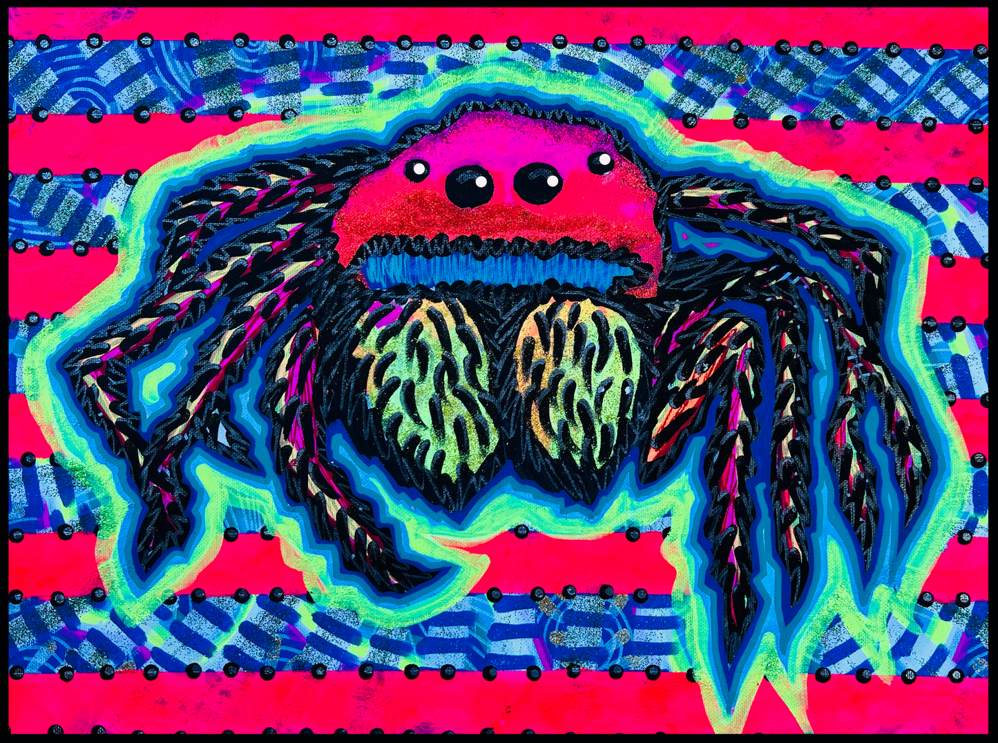 Rainbow Jumping Spider - Fine Art Print