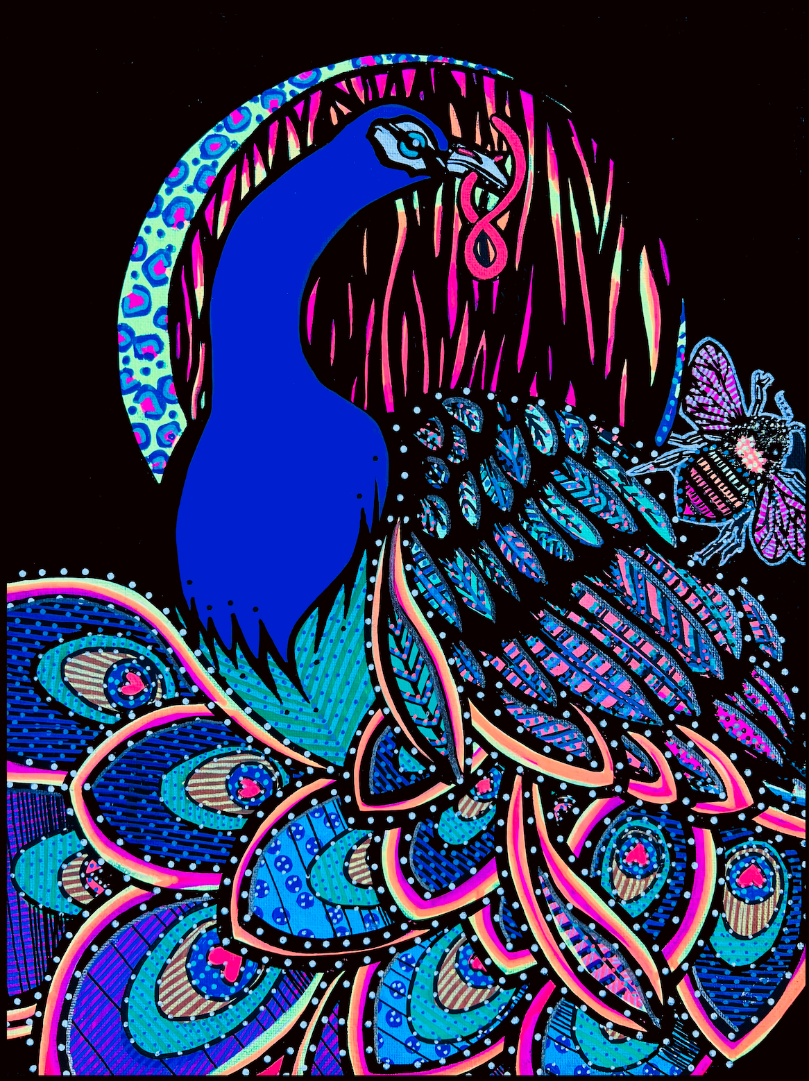 Peacock - Fine Art Print