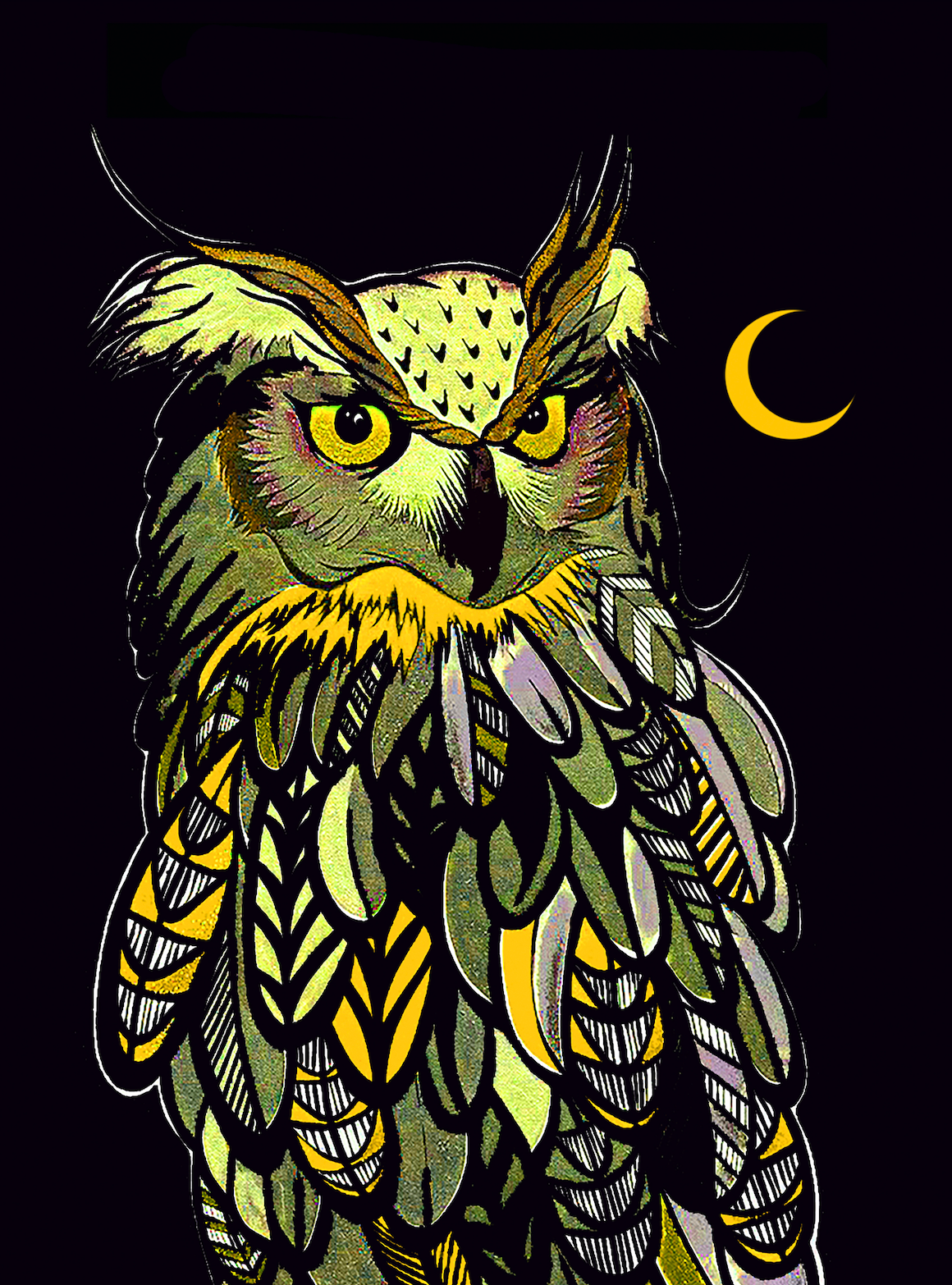 Owl - Fine Art Print