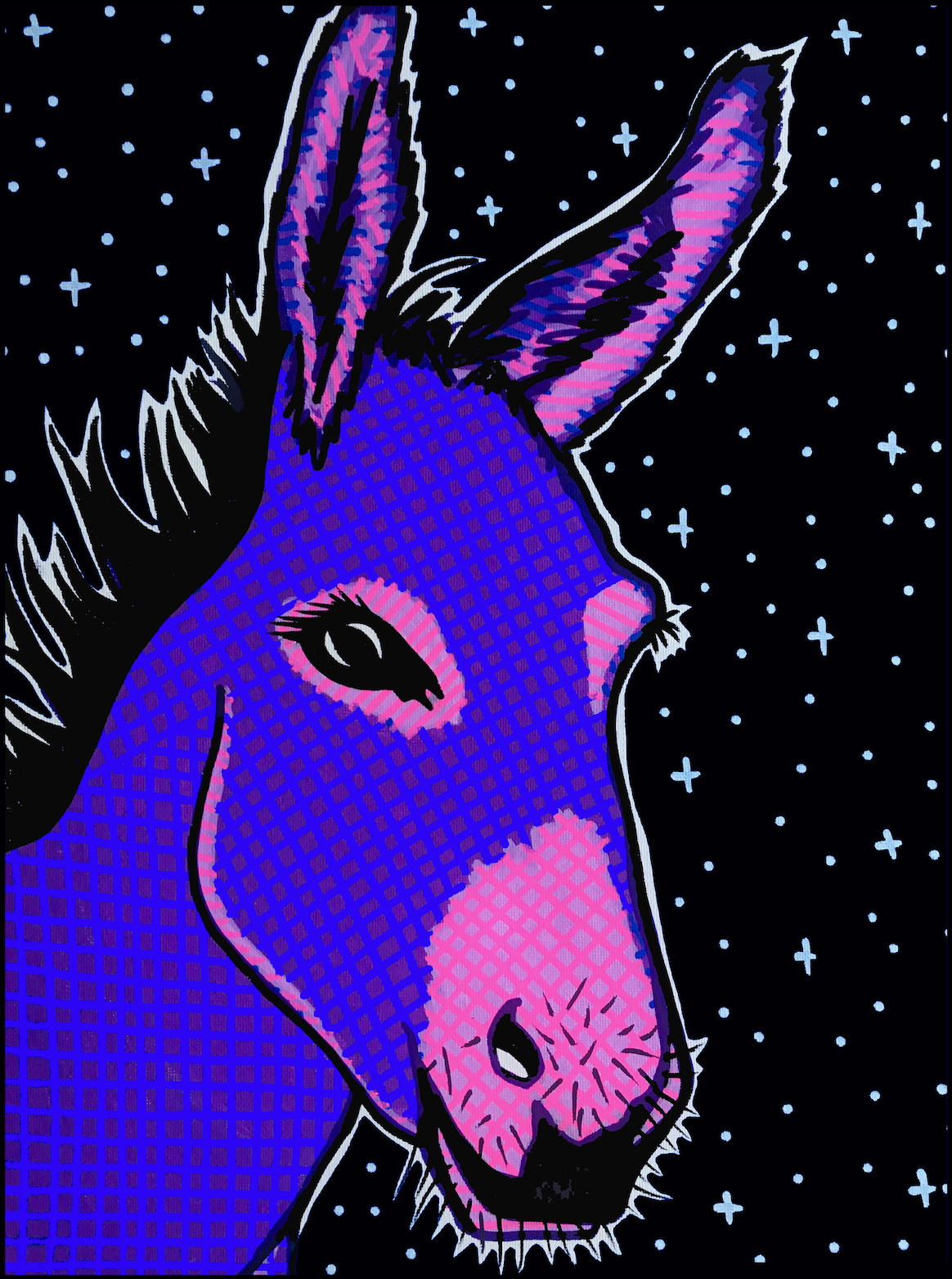 Donkey - Fine Art Print