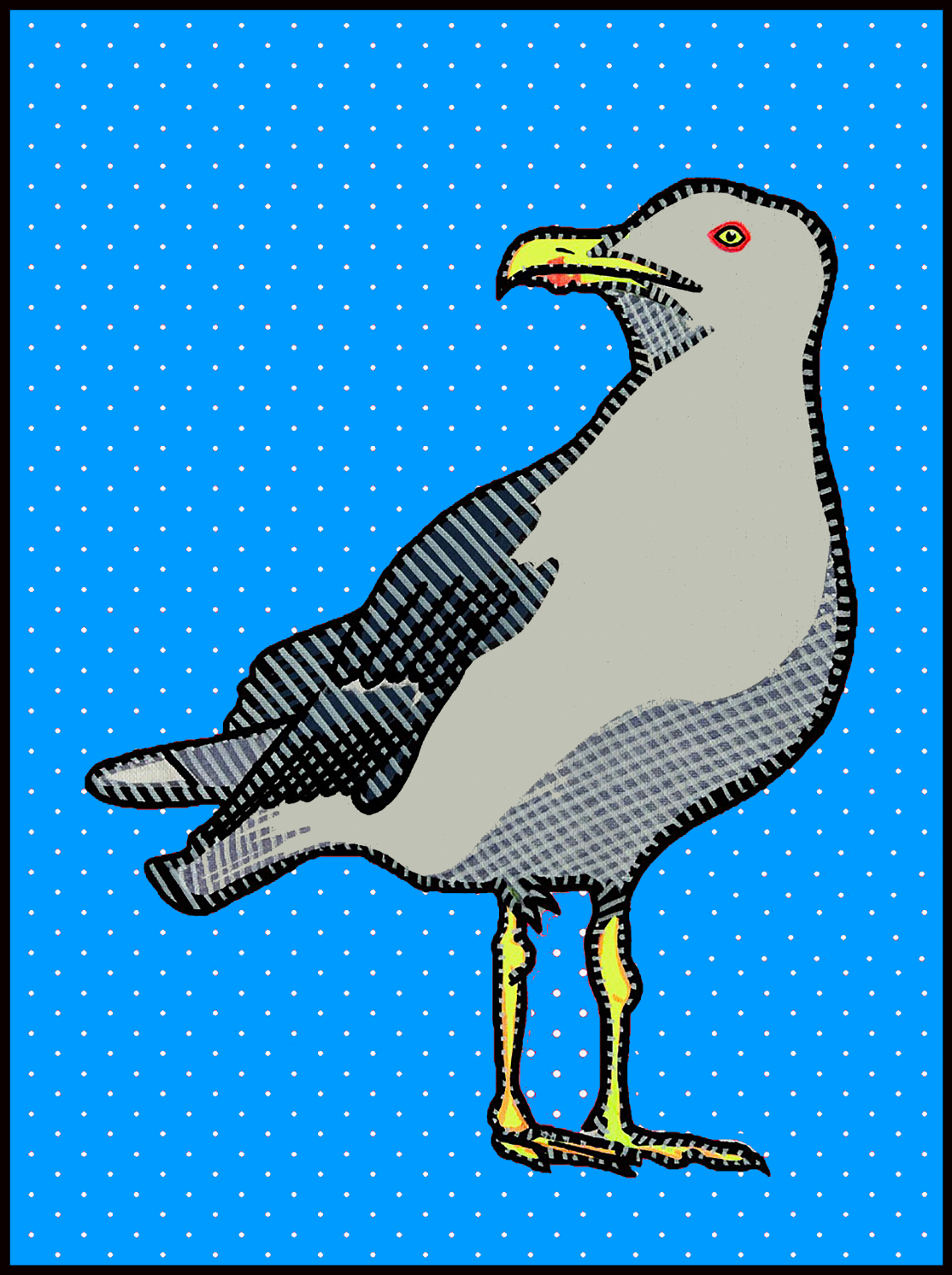 Blue Seagull - Fine Art Print