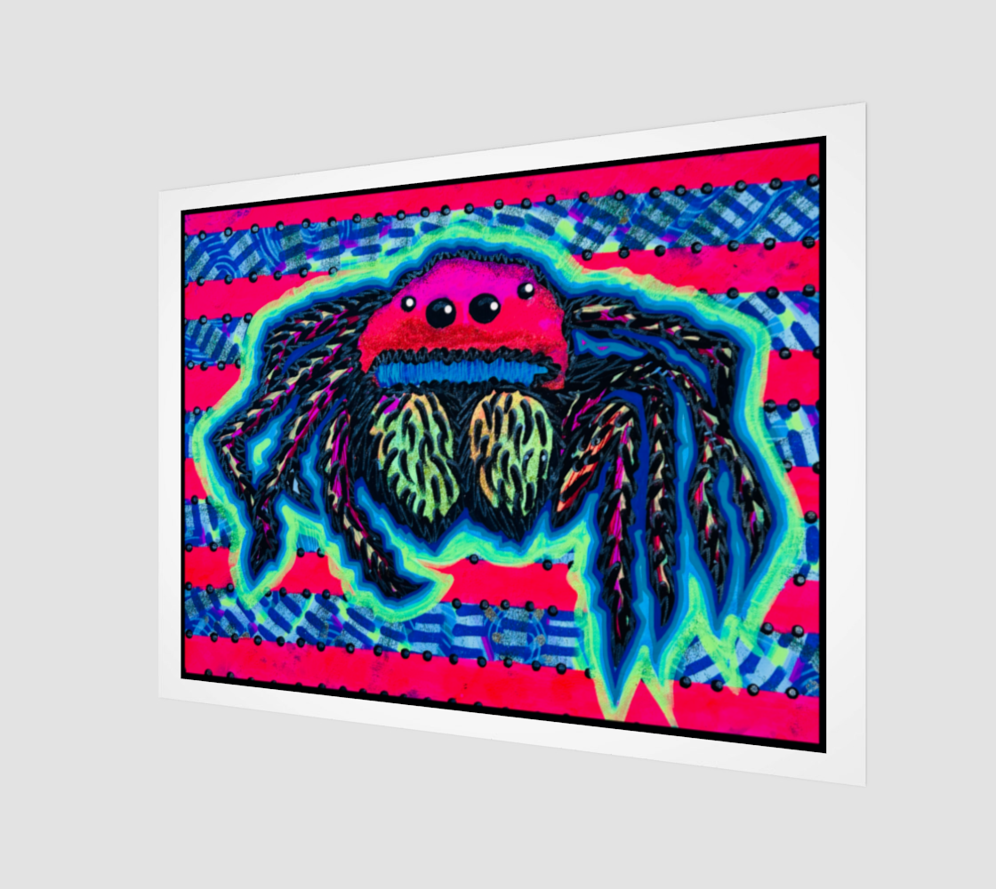 Rainbow Jumping Spider - Fine Art Print