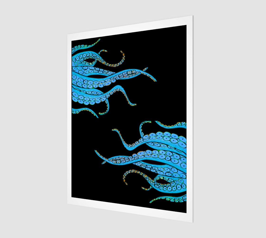 Turquoise Octopus - Fine Art Print